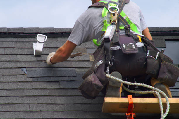 Best Roof Moss and Algae Removal  in Horseshoe Bend, AR