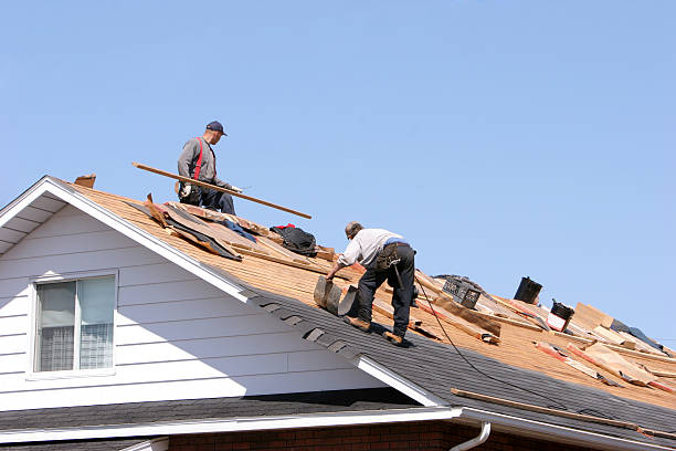 Best Steel Roofing  in Horseshoe Bend, AR